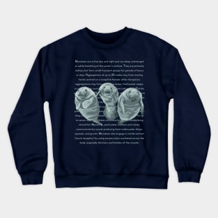 Information About Endangered Manatees Crewneck Sweatshirt